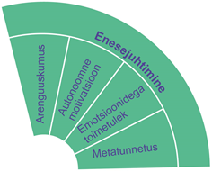 Enesejuhtimine