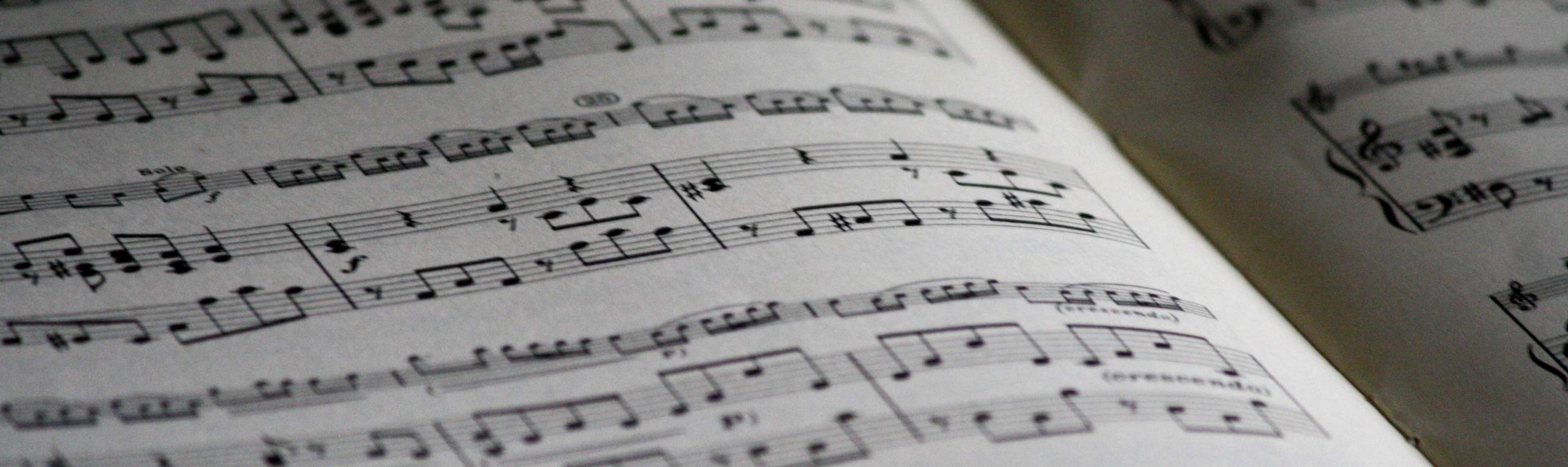 Muusikaõpetaja õppekava