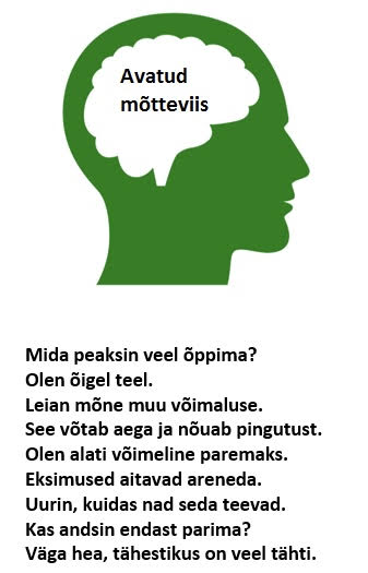 Arengulse suunatud mõtteviis