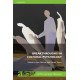 Breakthroughs in Cultural Psychology