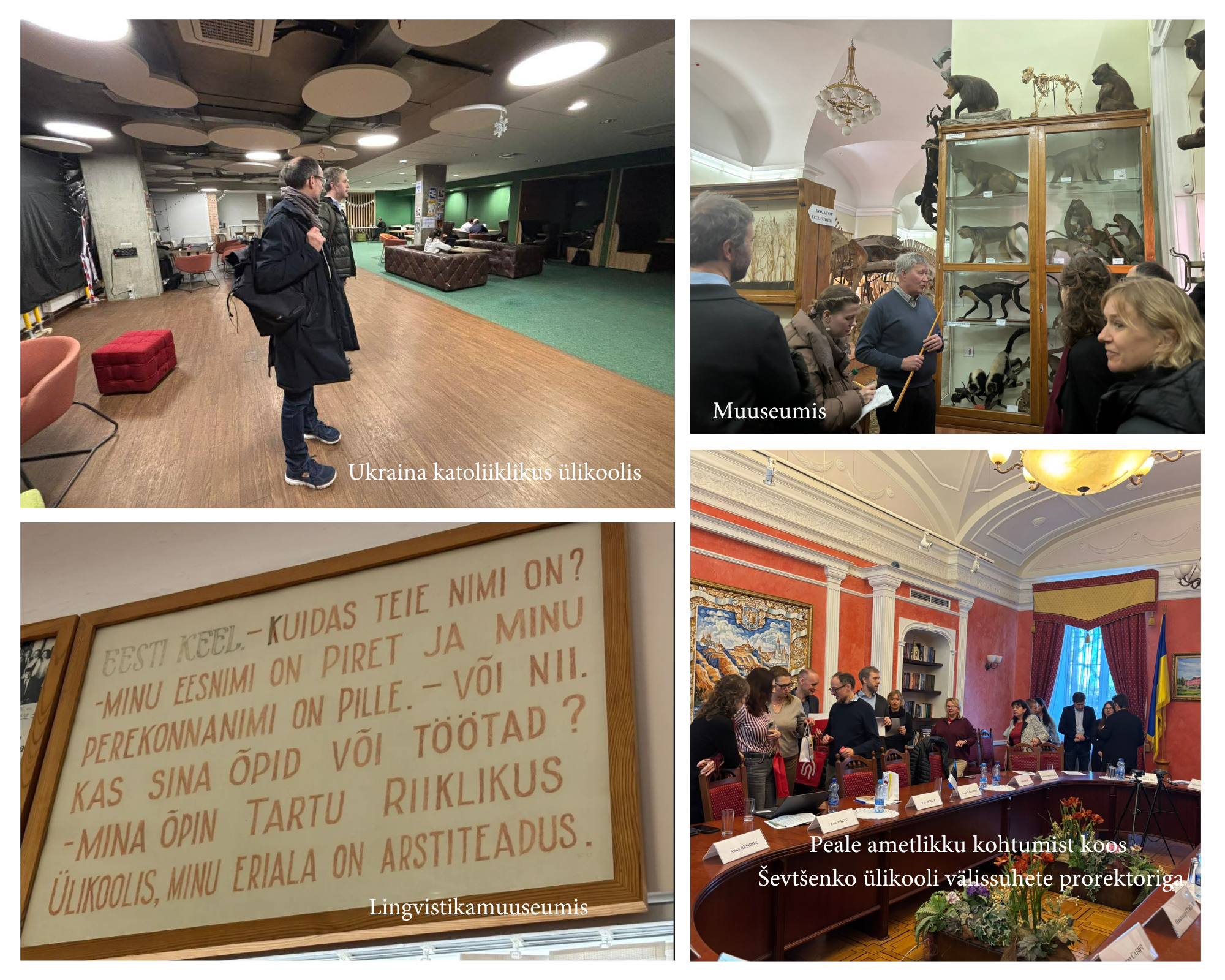 Ukraina ülikoolides