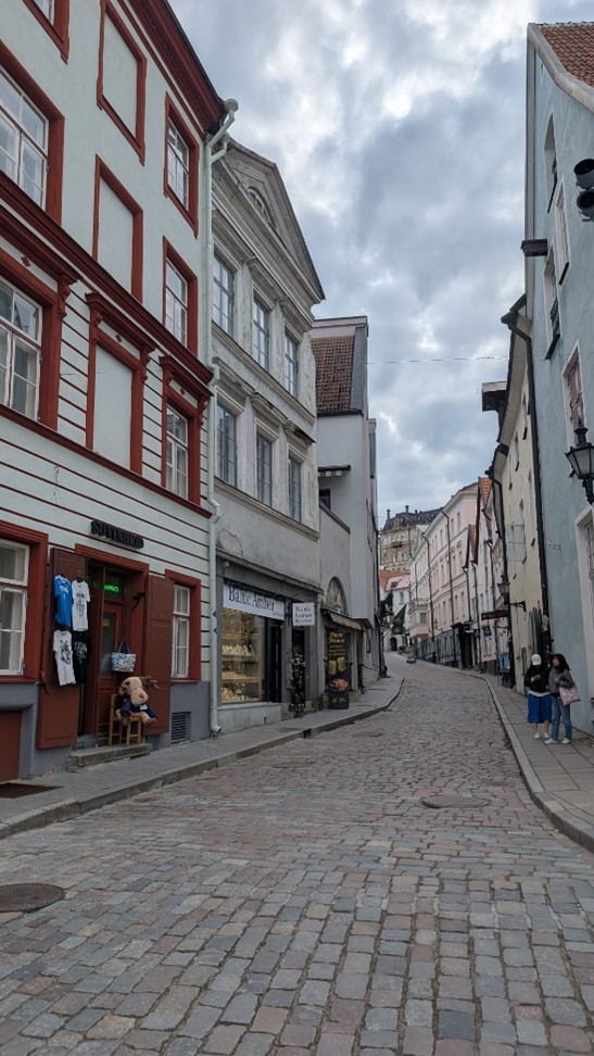Elsa in Tallinn