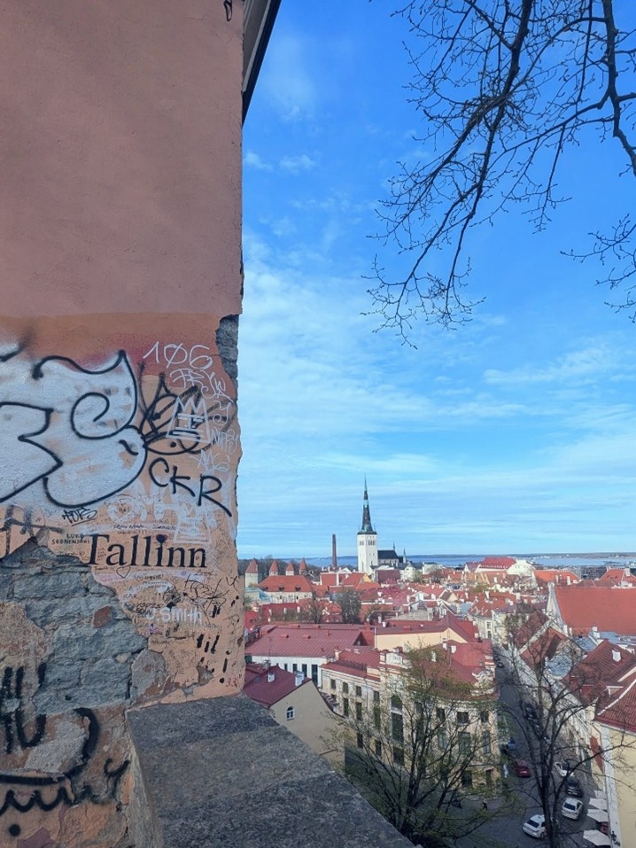 Elsa in Tallinn