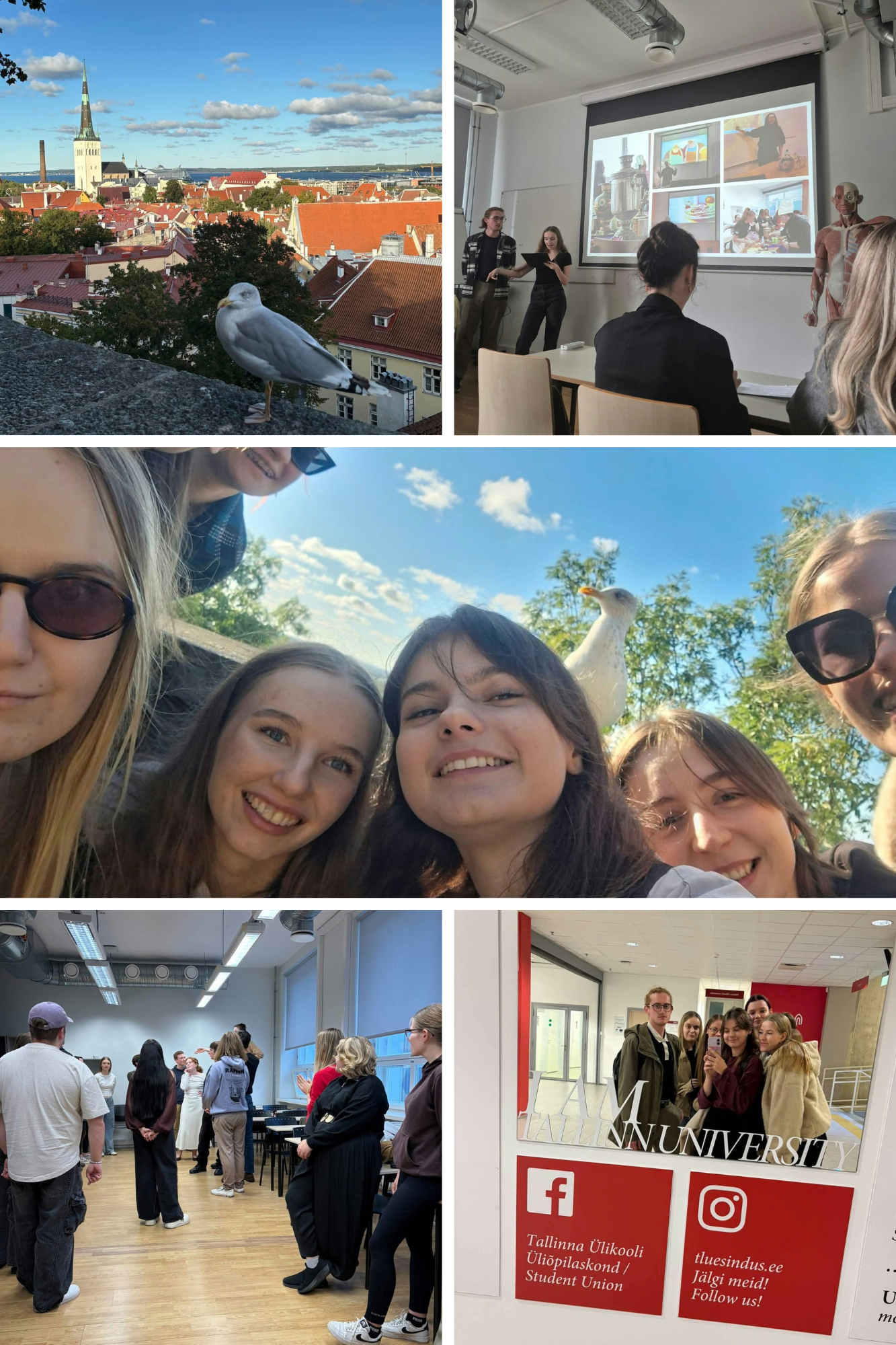 Eight students from the University of Rzeszów