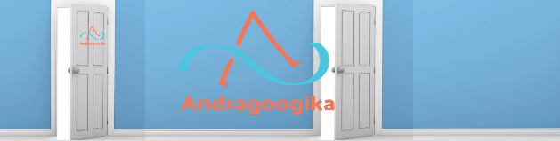 Andragoogika 40