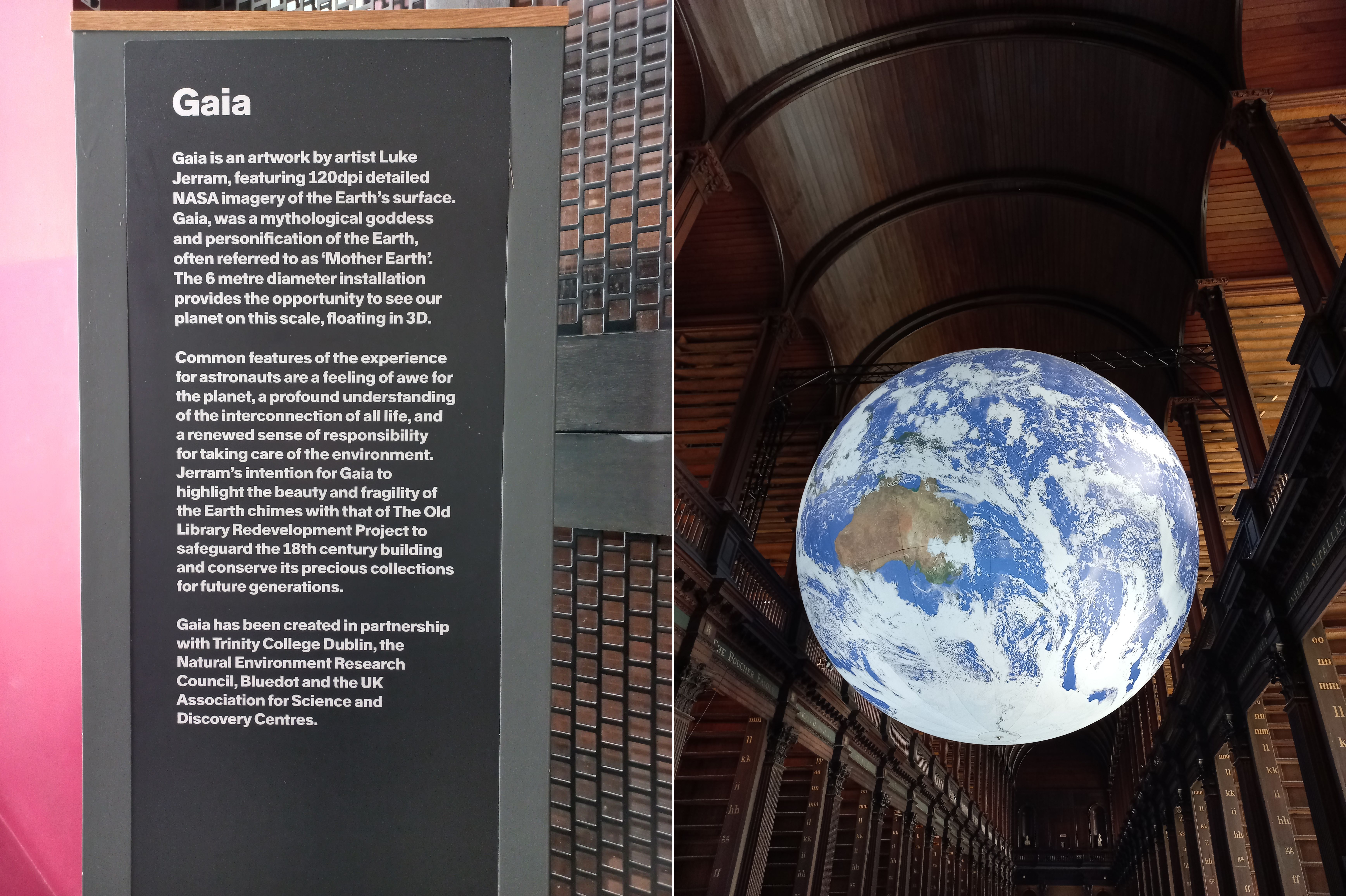 Installatsioon „Gaia“ Trinity kolledži raamatukogus
