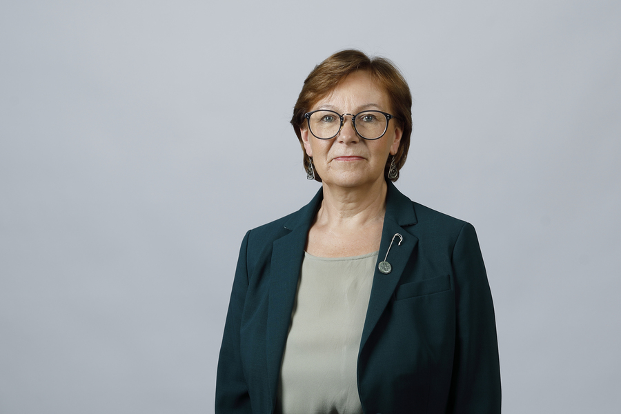 Maiu Plumer