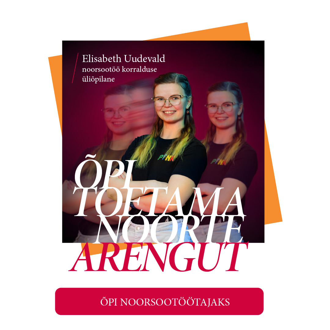 Noorsootöö korraldus