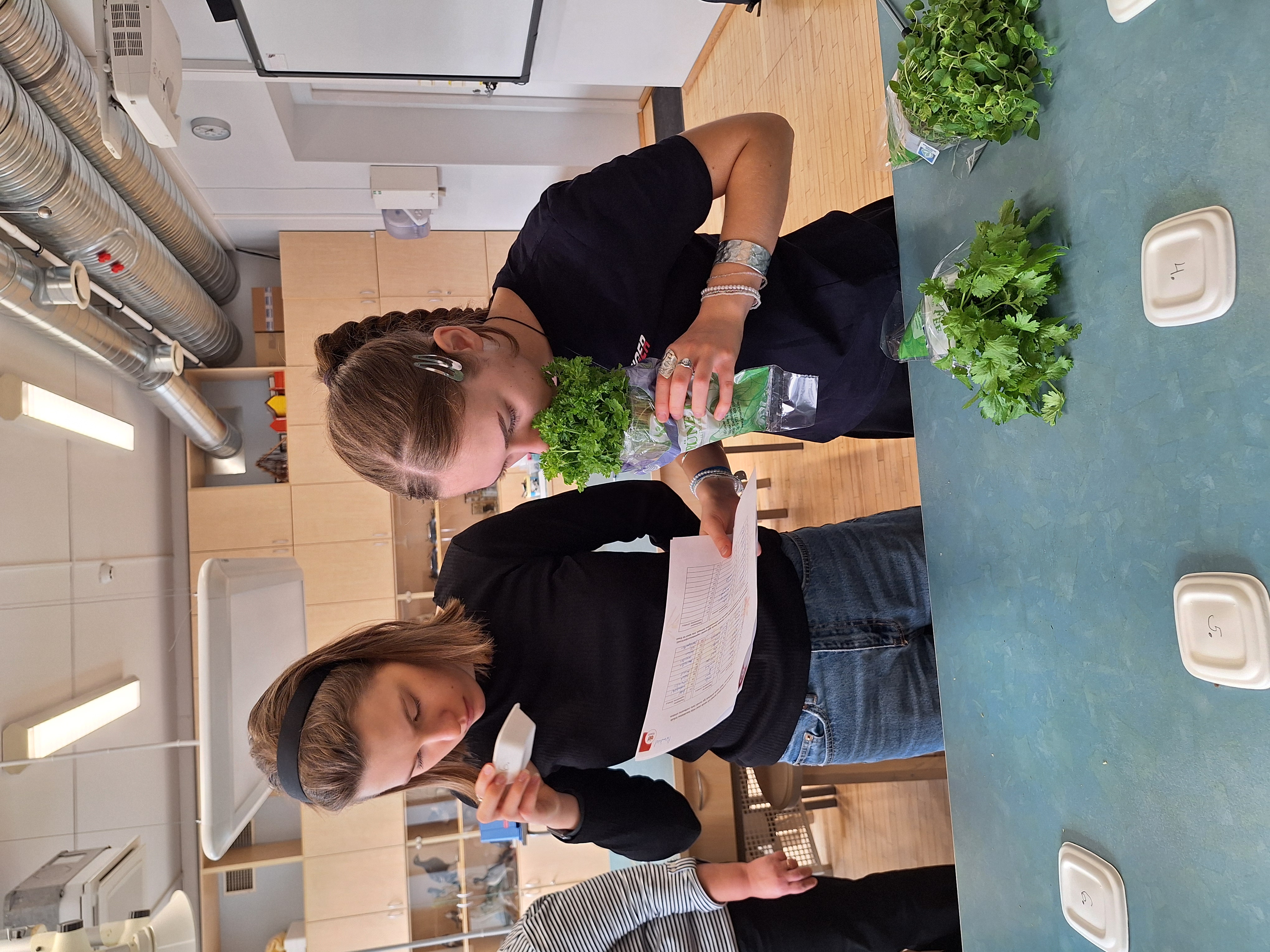 geograafia ülesanne ürtidega