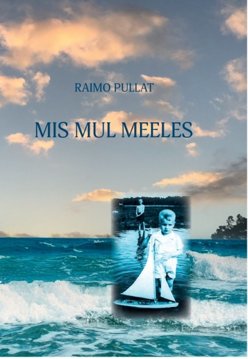 raamatu kaas