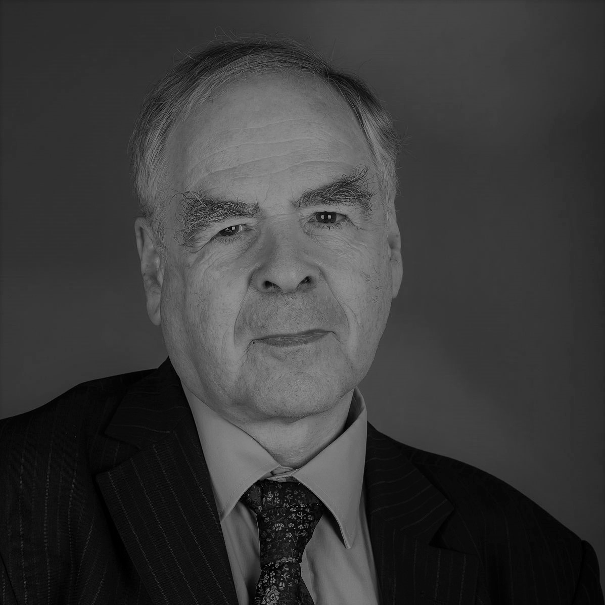 György Andras Schöpflin