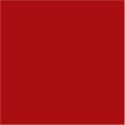 logopunane