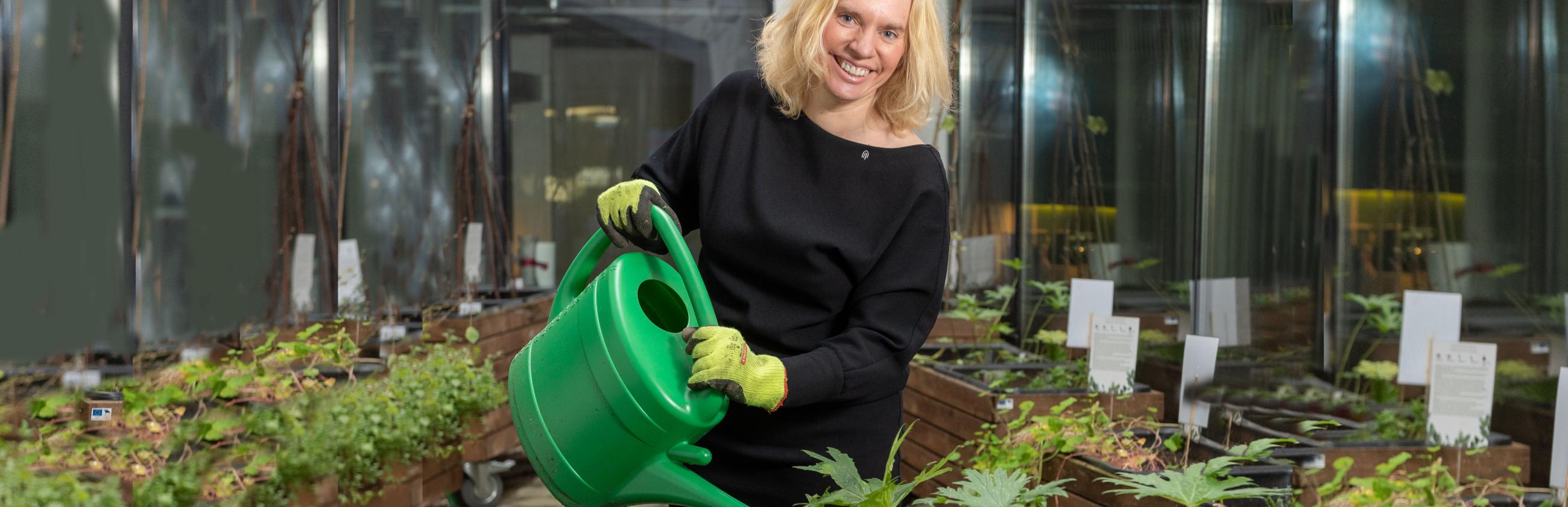 Helen Sooväli-Sepping