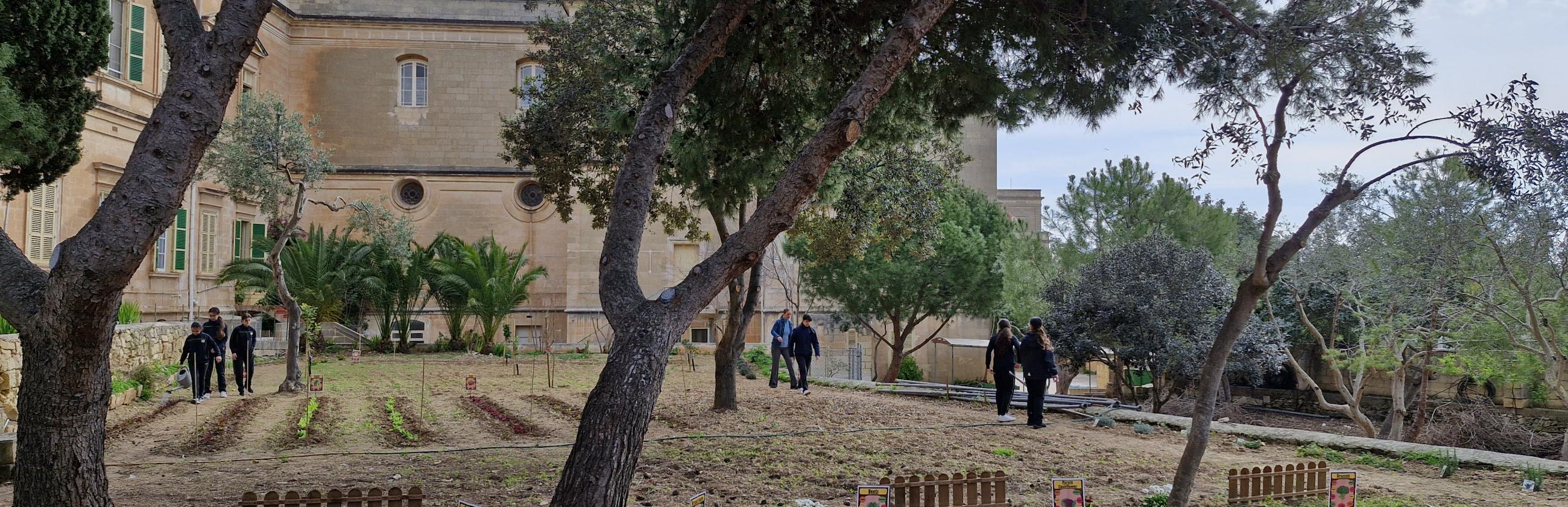 Malta student garden