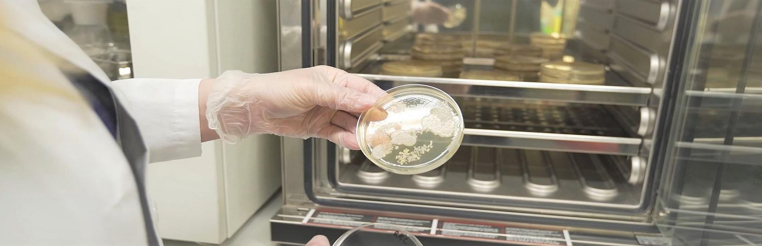 Molekulaarne biokeemia ja ökoloogia