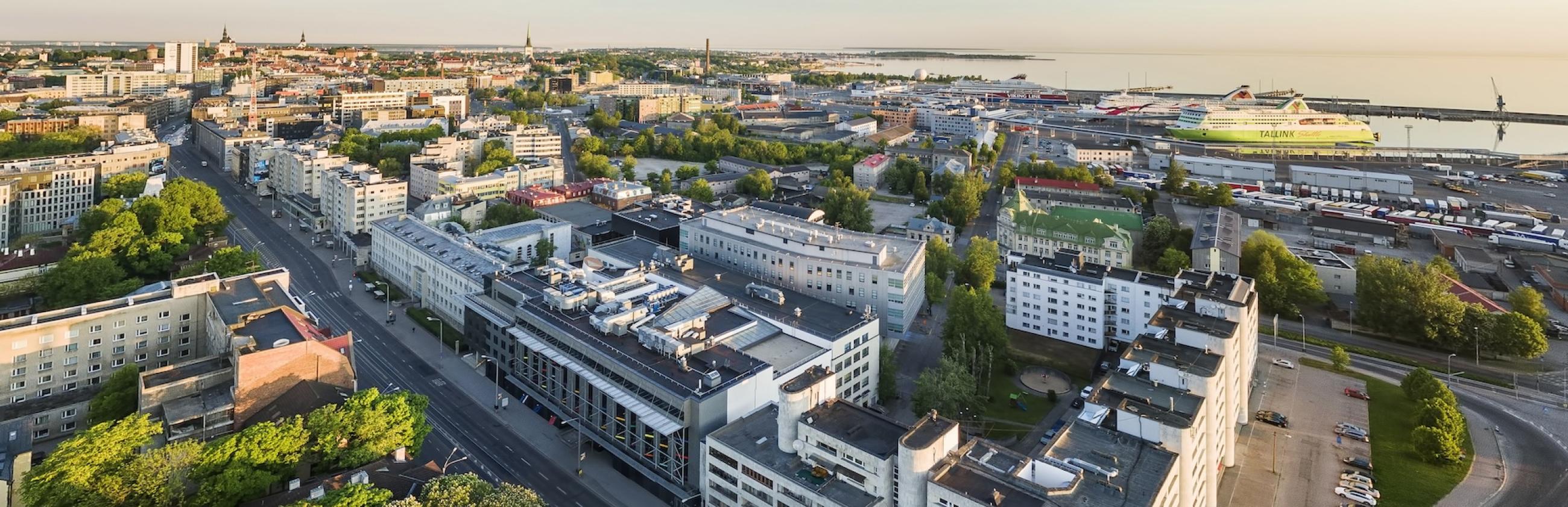 TLÜ linnak linnulennult