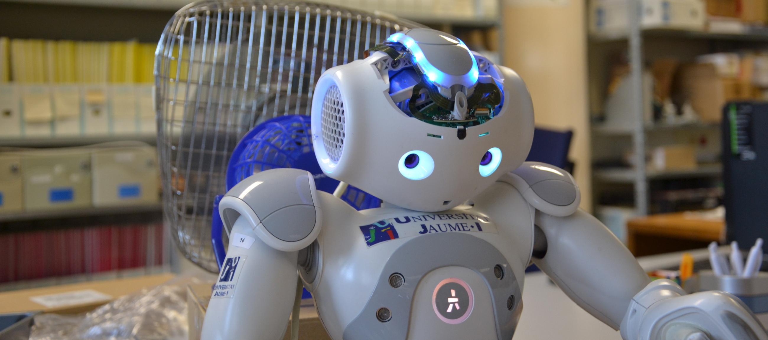 Robot