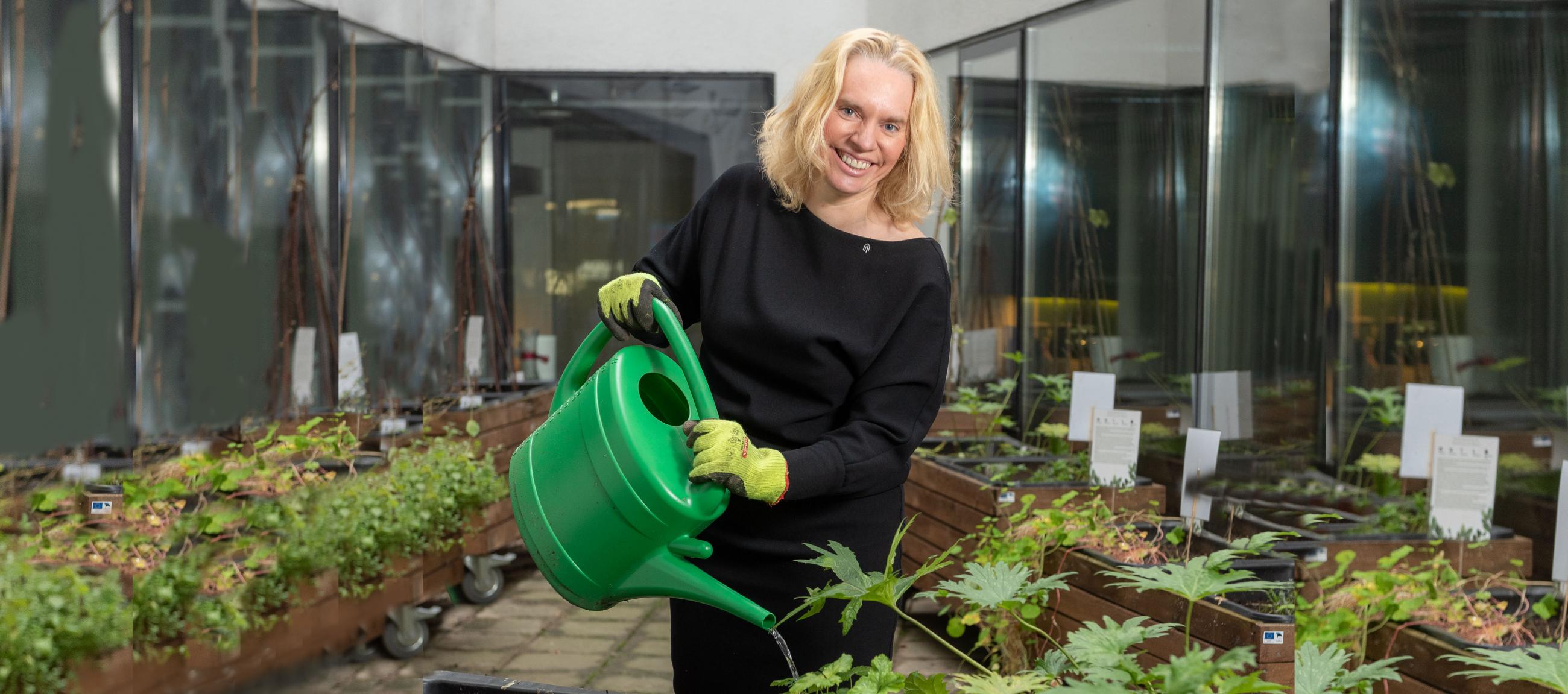 Helen Sooväli-Sepping