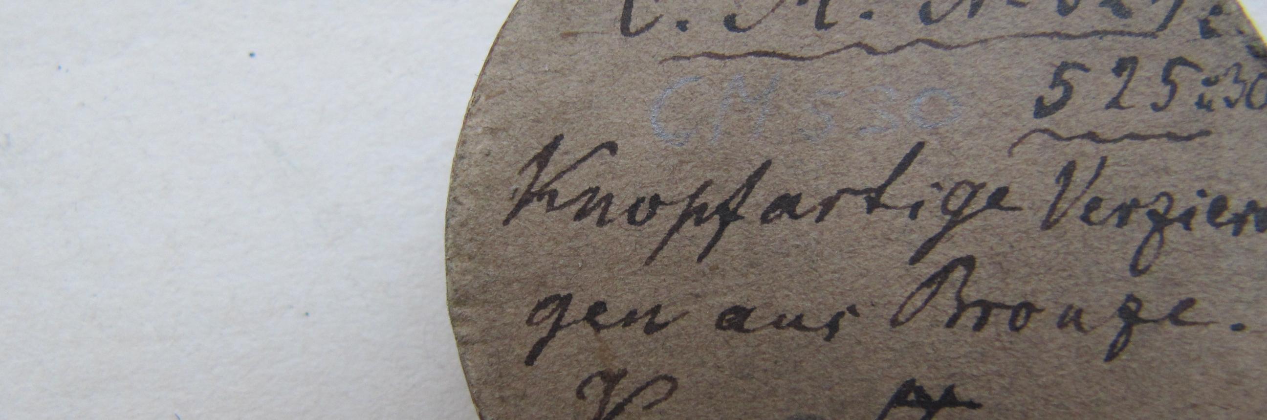 Arheoloogia teaduskogu