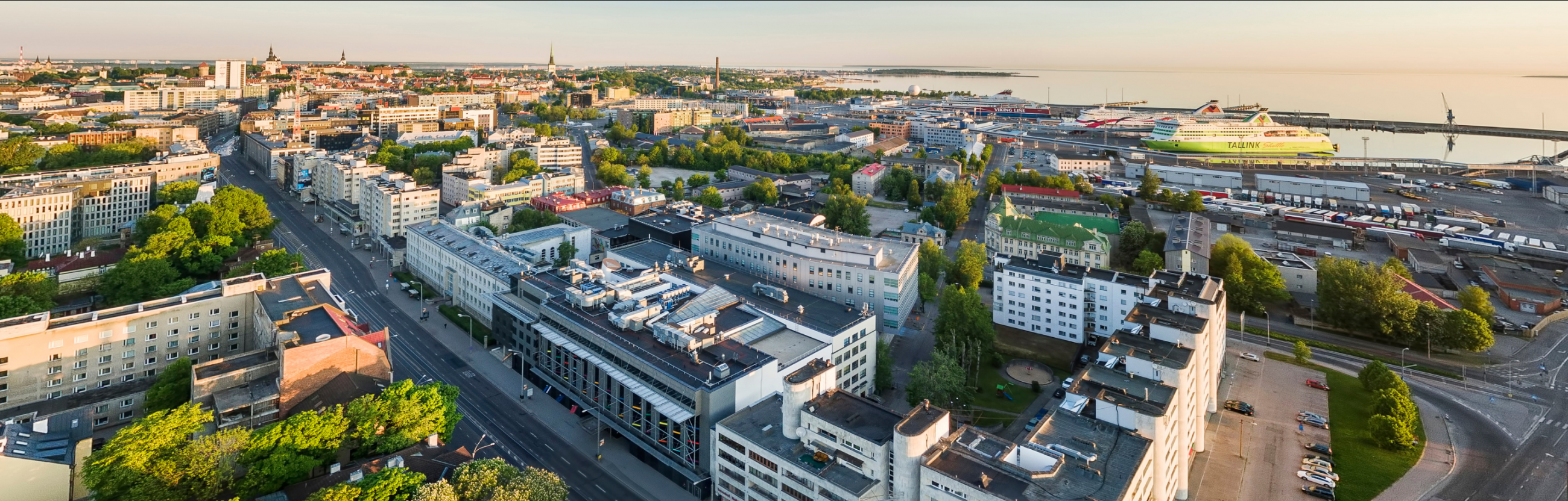 Tallinn University