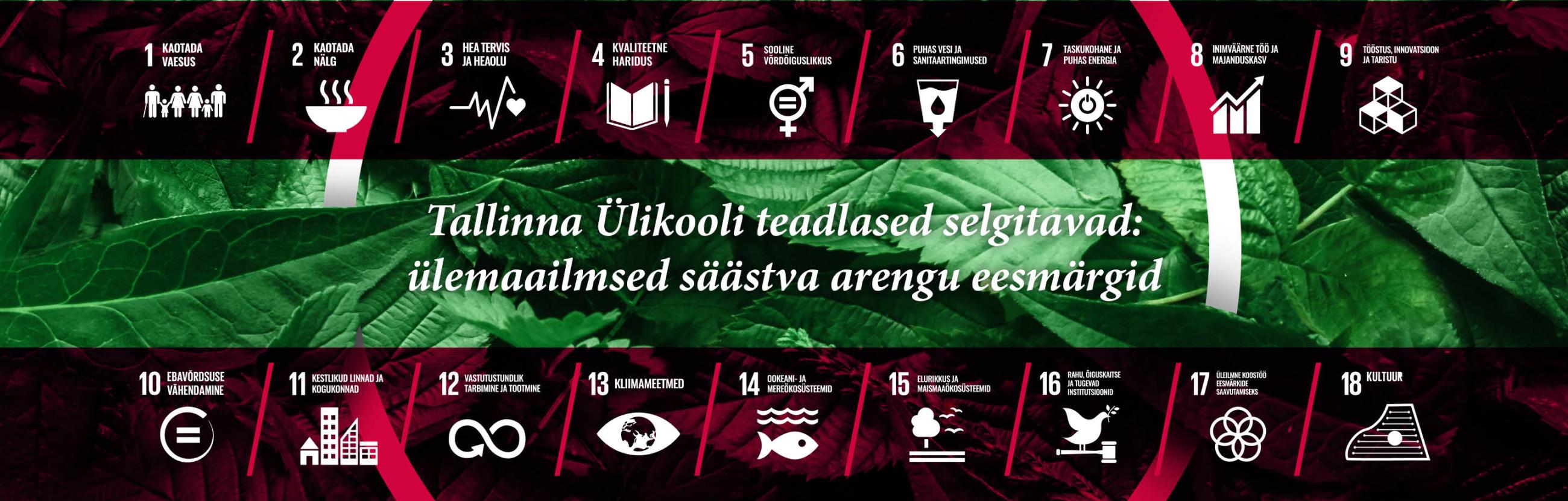 Säästva arengu 18 eesmärgi logod