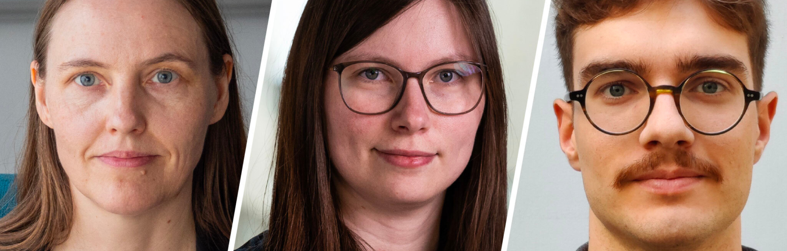 Pildil on töörühma liikmed kaasprofessor Kairit Sirts ja nooremteadur Hele-Andra Kuulmets Tartu Ülikoolist ning külalislektor Krister Kruusmaa Tallinna Ülikoolist. Fotokollaaži autor: Henry Narits Pildil on töörühma liikmed kaasprofessor Kairit Sirts ja nooremteadur Hele-Andra Kuulmets Tartu Ülikoolist ning külalislektor Krister Kruusmaa Tallinna Ülikoolist. Fotokollaaži autor: Henry Narits