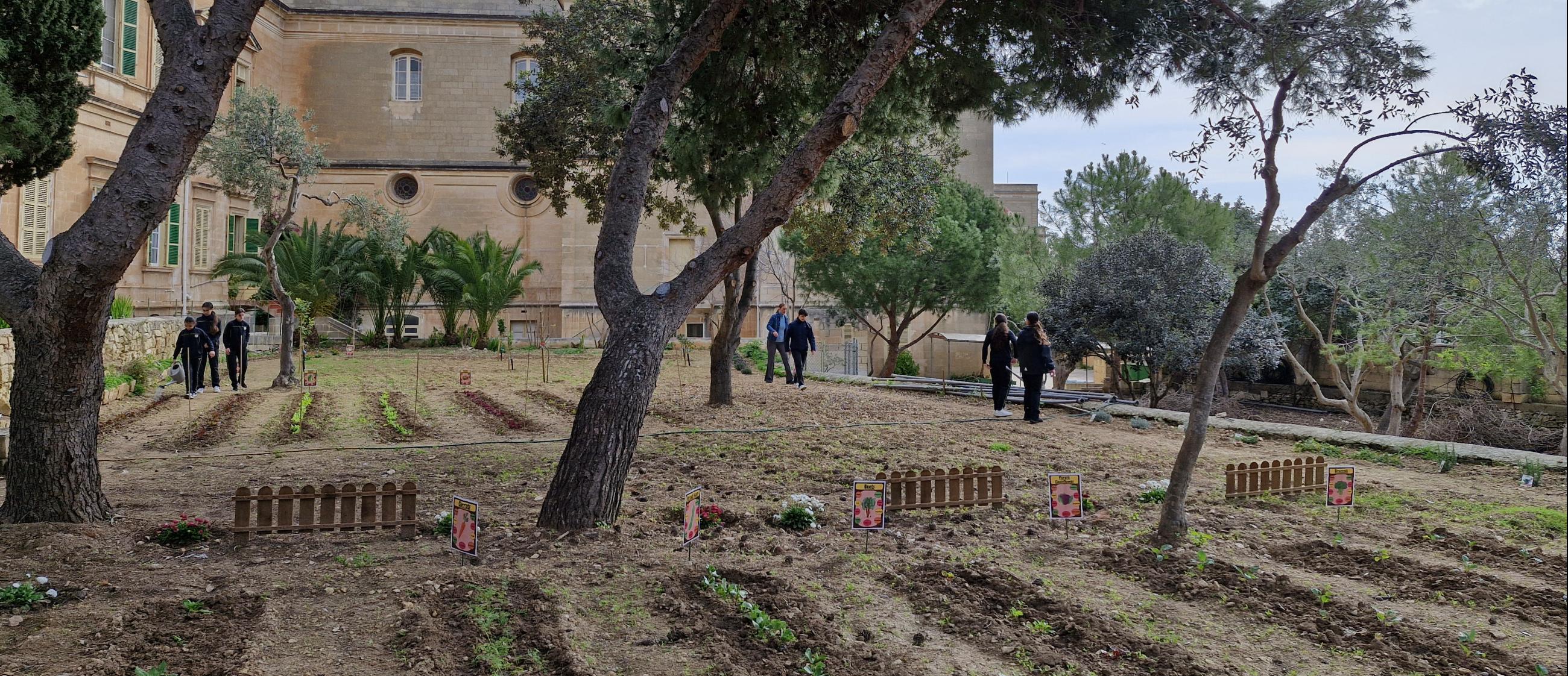 Malta student garden