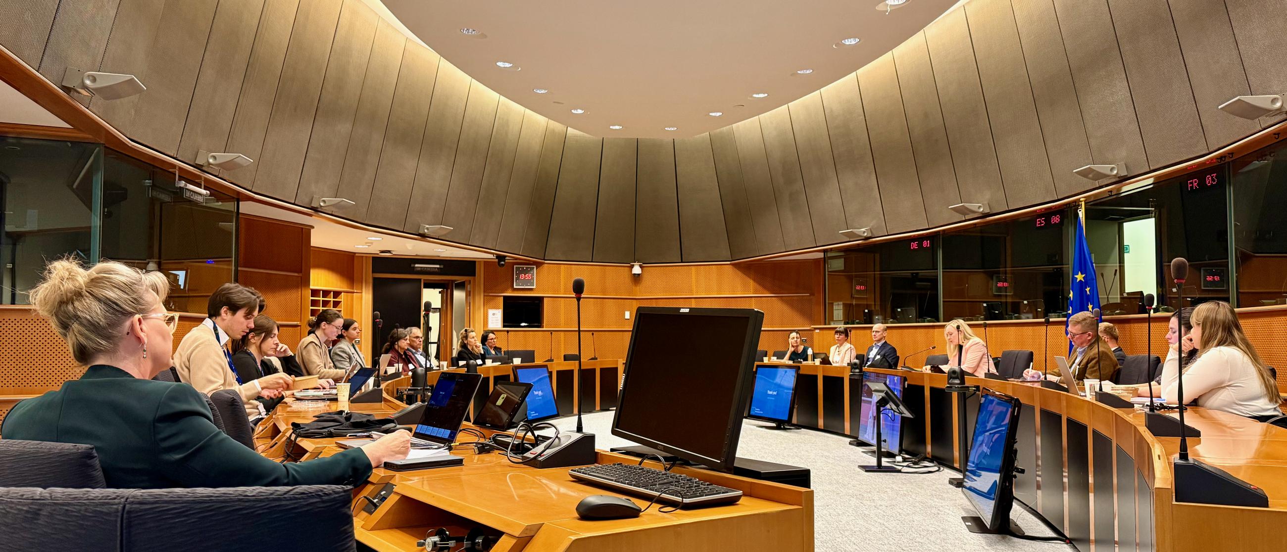 MapIneq kohtumine Euroopa Parlamendis