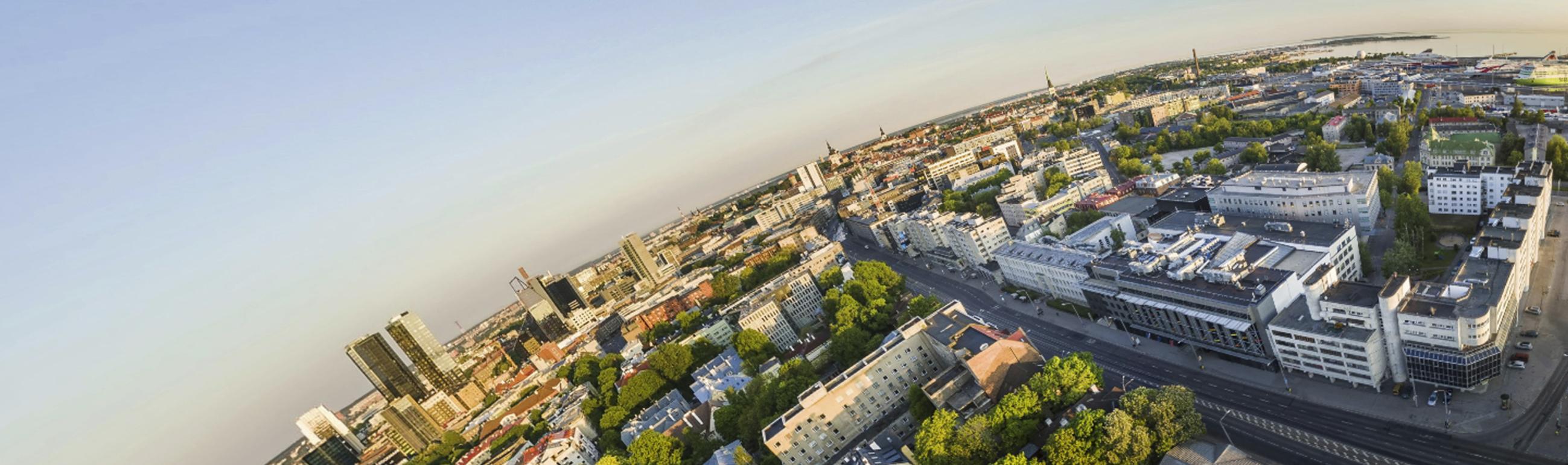 Tallinna Ülikool linnulennult