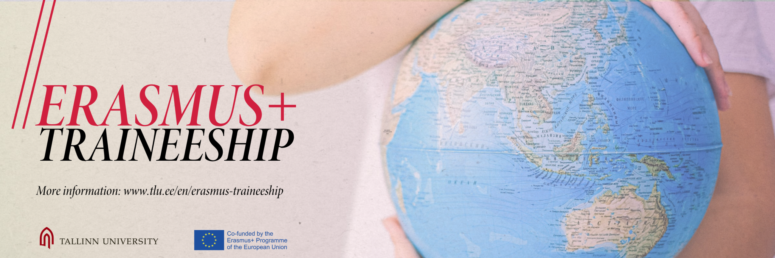 E+ Traineeship