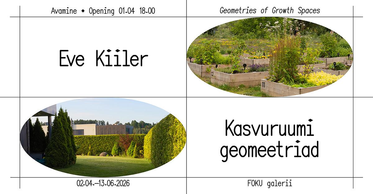 Eve Kiileri isikunäitus „Kasvuruumi geomeetriad“