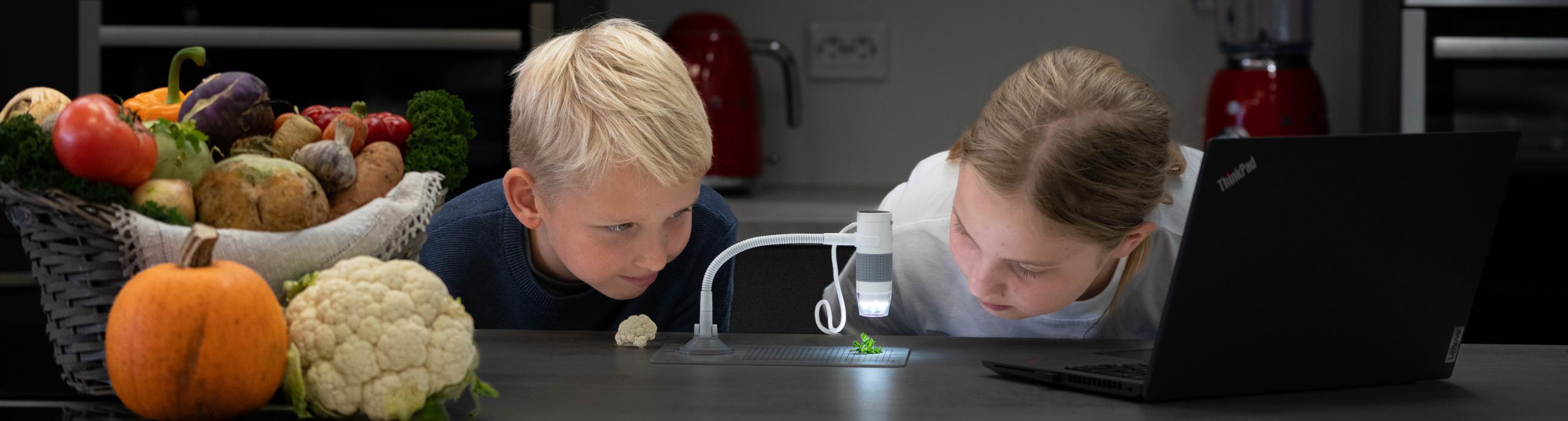 lapsed uurivad köögivilju