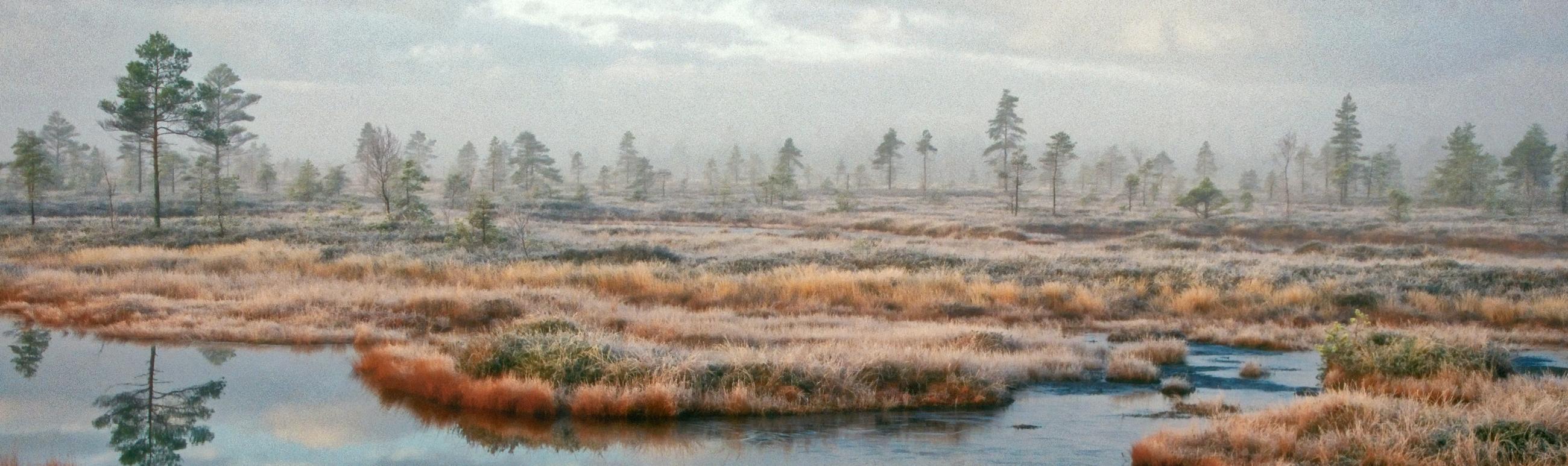 Bog, Arne Ader