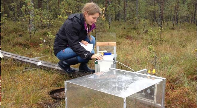 Measurement of carbon dioxide. AuthorTimo Penttilä 