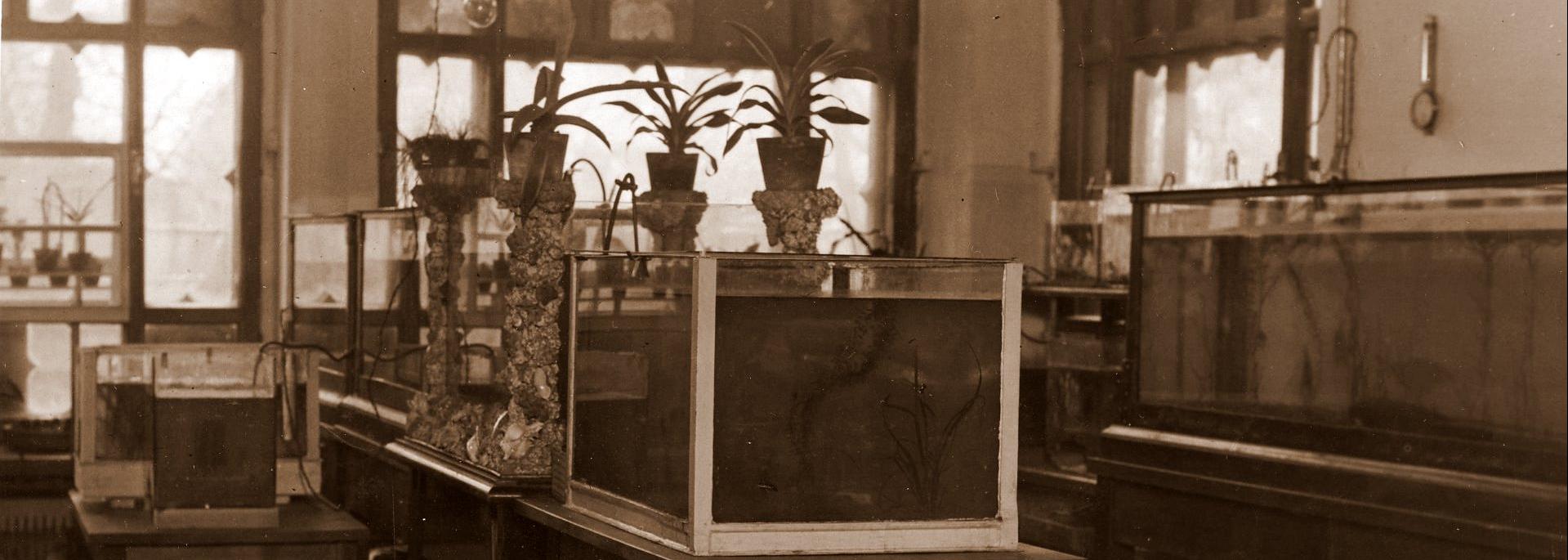 EPAMi ajalooline foto akvaariumide ruumist.