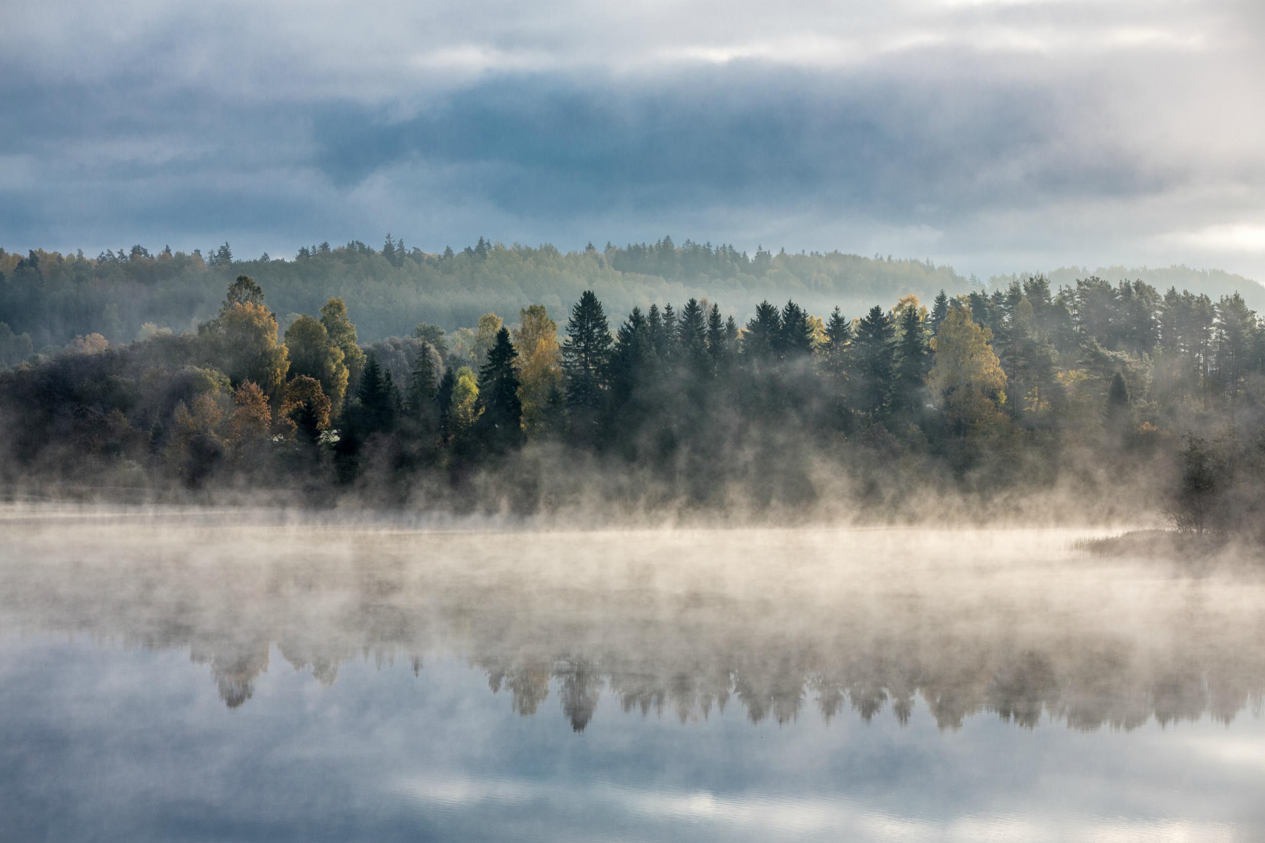 estonian nature