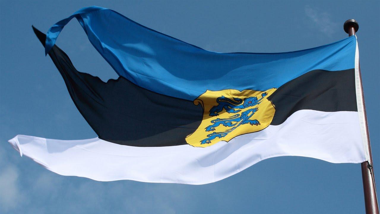 estonian flag