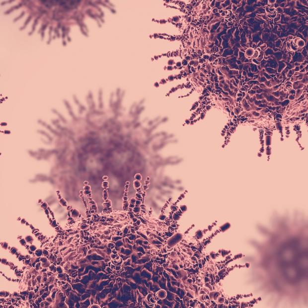 tallinn univeristy closed due to corona