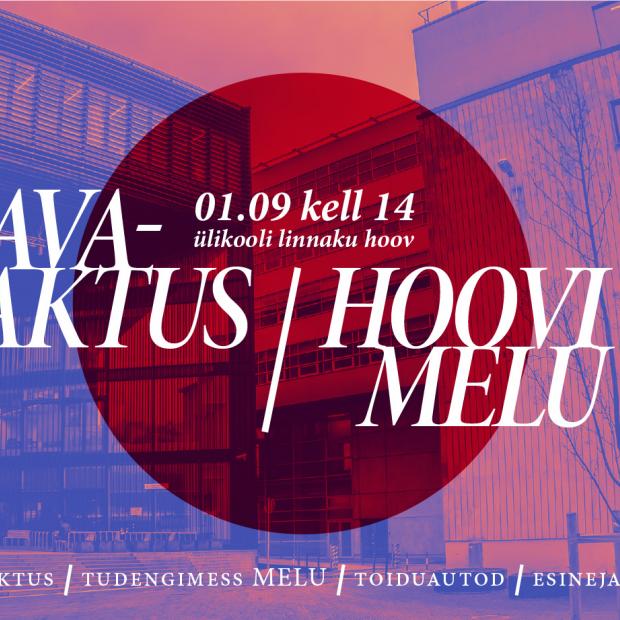 avaaktuse ja hoovipeo visuaal