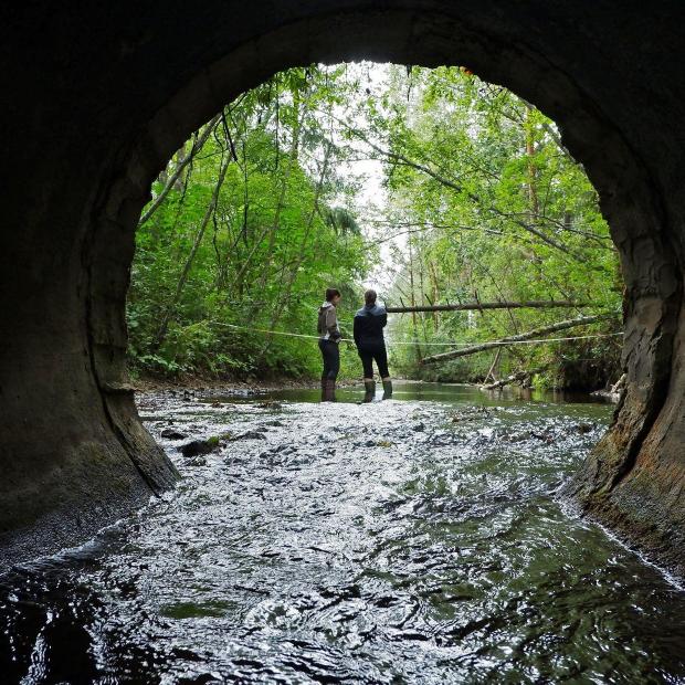 Eestis toimub Põhjamaade hüdroloogia konverents, mis keskendub veega seotud ökosüsteemidele