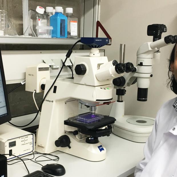 (Foto: Kadri Veisner, Fotol Amal D Premarathna)