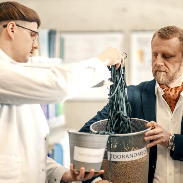 Toorandmed. Foto: Tanel Meos