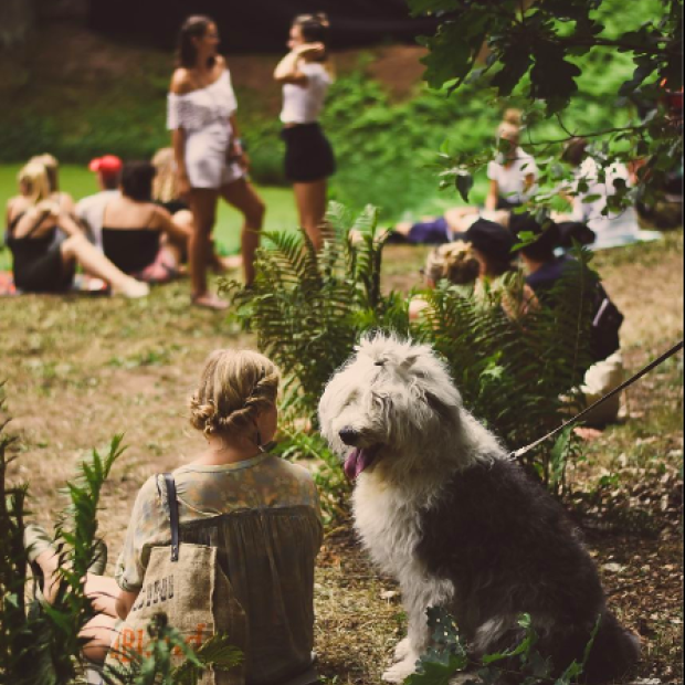 Katrin Sigijane ja kutsu