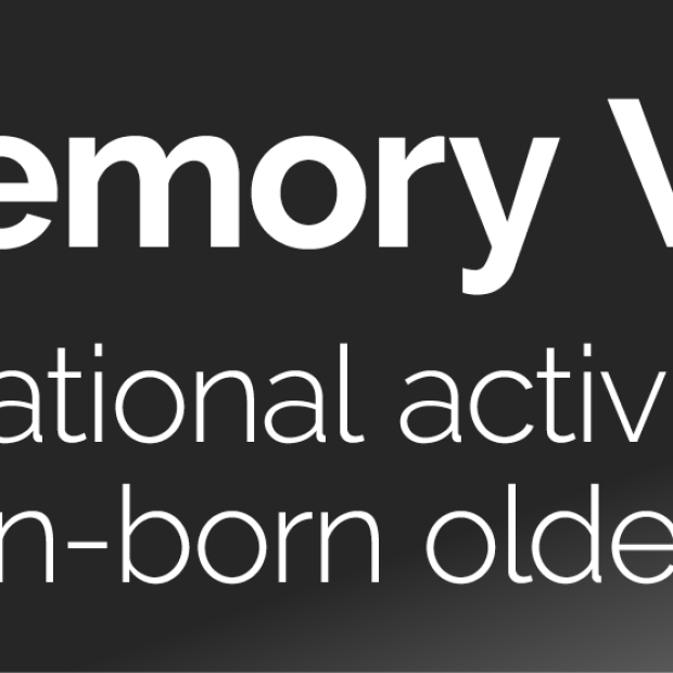 vebinari reklaampilt, kus on vebinari pealkiri "50 shades of Memory Work" ja värvilistest paeltest ajupilt