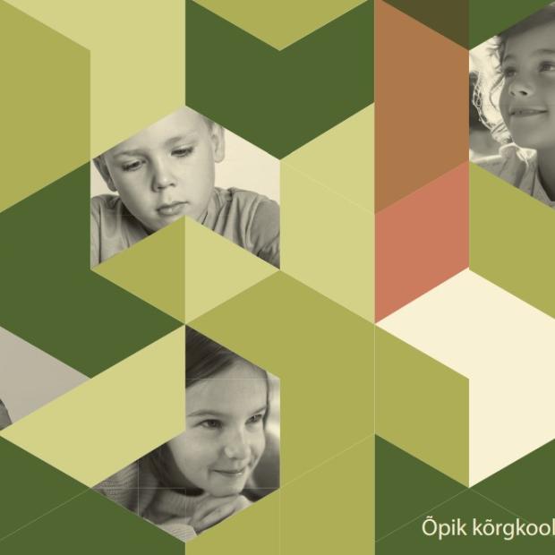 Õpik Erivajadusega õppijad