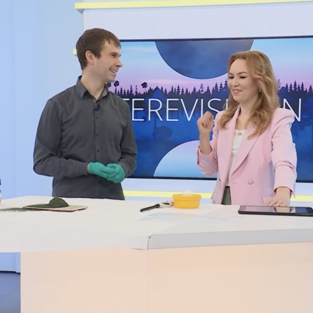 Vulkaanikatse Terevisioonis