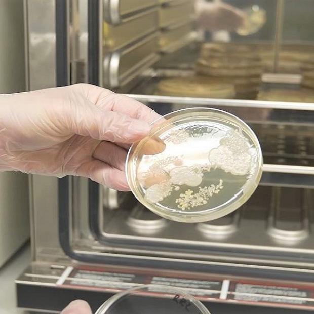Molekulaarne biokeemia ja ökoloogia
