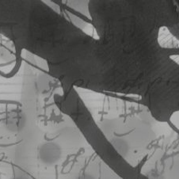 Frontiers in Comparative Metrics IV