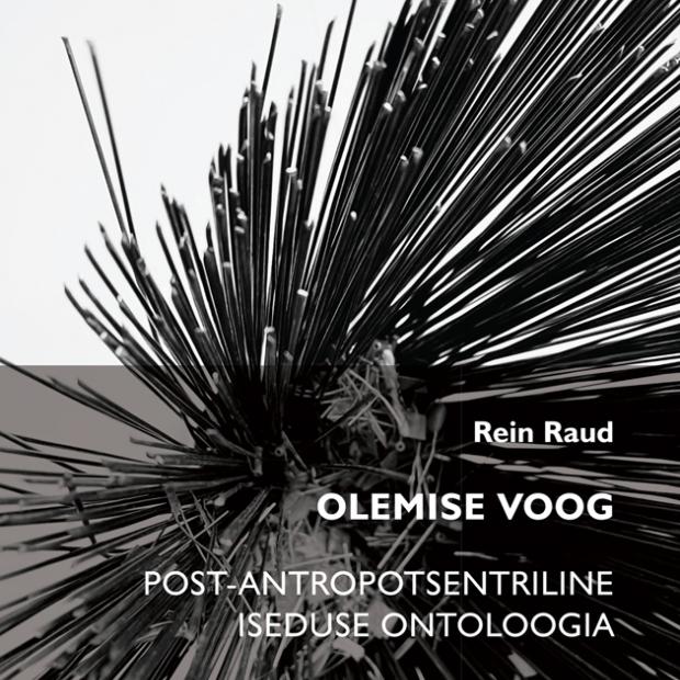 Olemise voog
