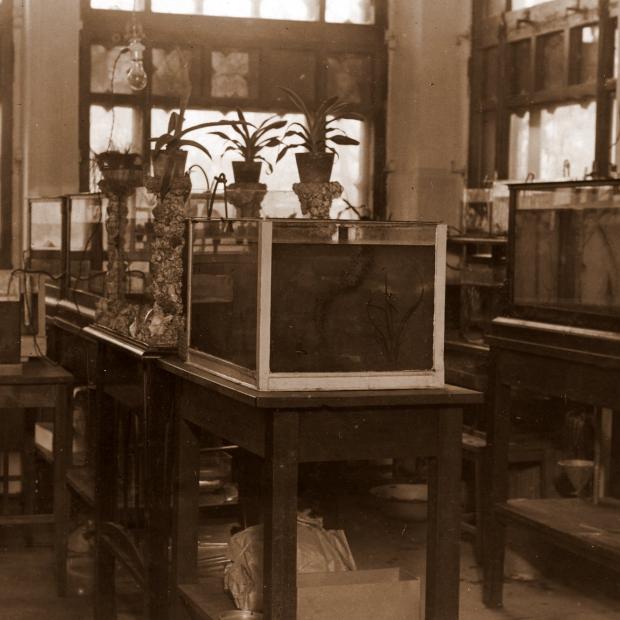 EPAMi ajalooline foto akvaariumide ruumist.